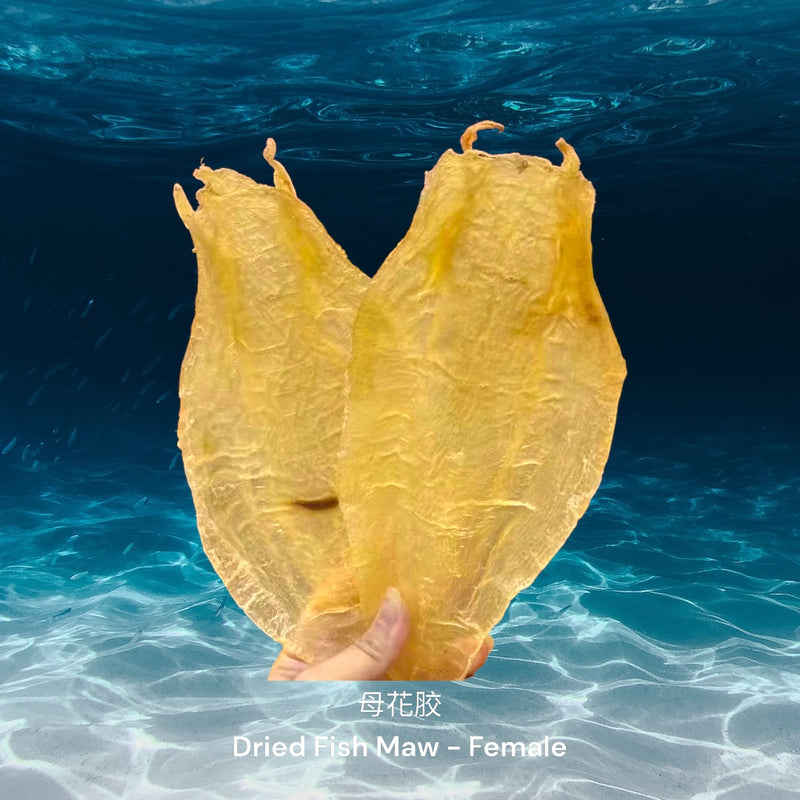 北海花胶母/ Dried Northern Sea Fish Maw - Female