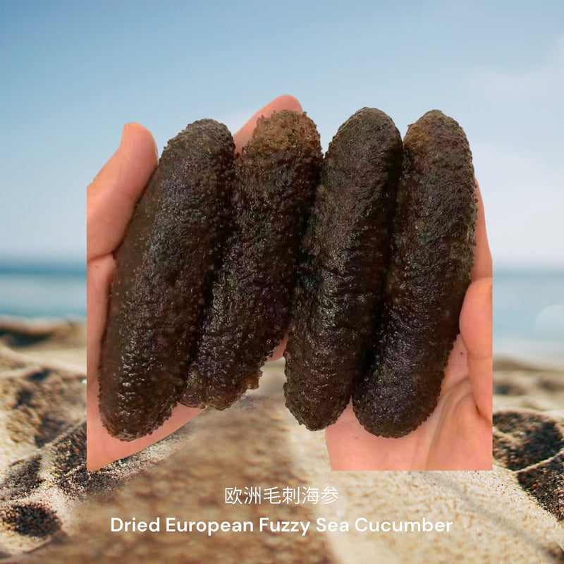 欧洲毛刺海参/ Dried European Fuzzy Sea Cucumber