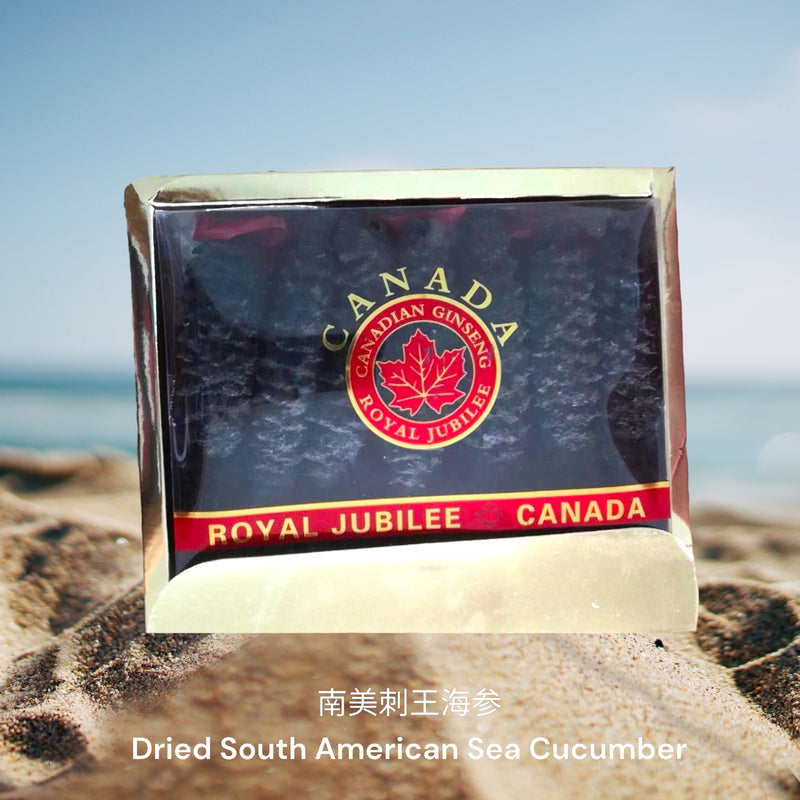 南美刺王海参 / Dried South American Sea Cucumber