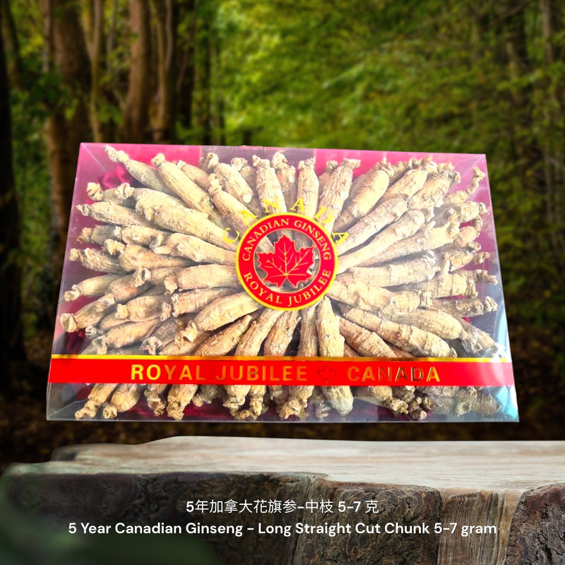 5年加拿大花旗参-长中枝 / 5 Year Canadian Ginseng - Long Straight Cut Chunk