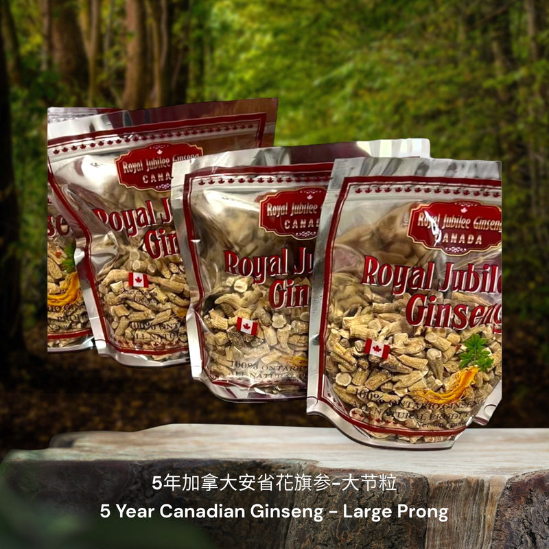 5年加拿大安省花旗参-节粒 / 5 Year Canadian Ginseng - Prong