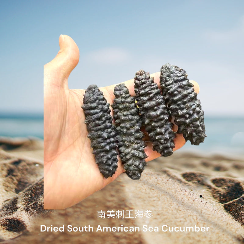 南美刺王海参 / Dried South American Sea Cucumber