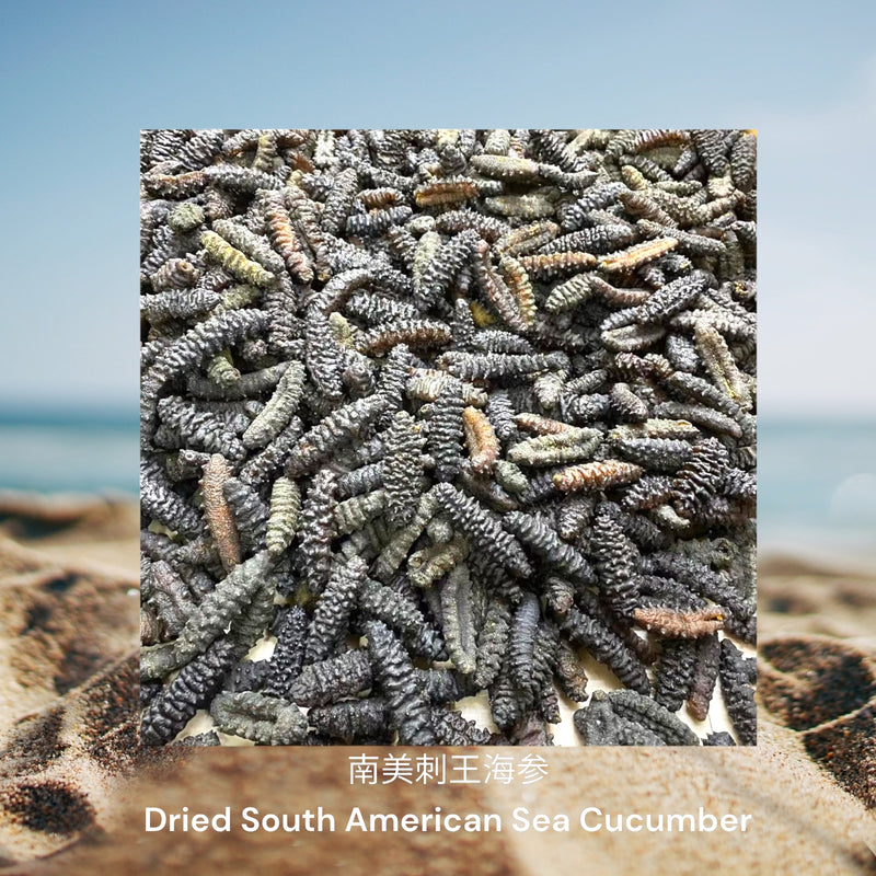南美刺王海参 / Dried South American Sea Cucumber