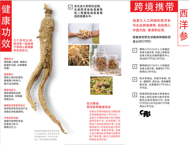 中国邮寄-5年加拿大安省花旗参-小腿/ 5 Year Canadian Ginseng - Small Prong (Order to China)